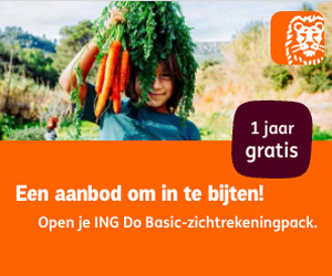 ING Do Basic